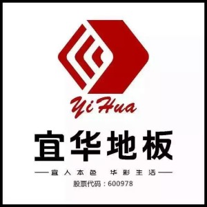 公司介绍