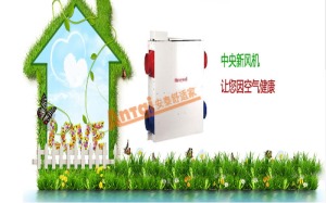 公司介绍
